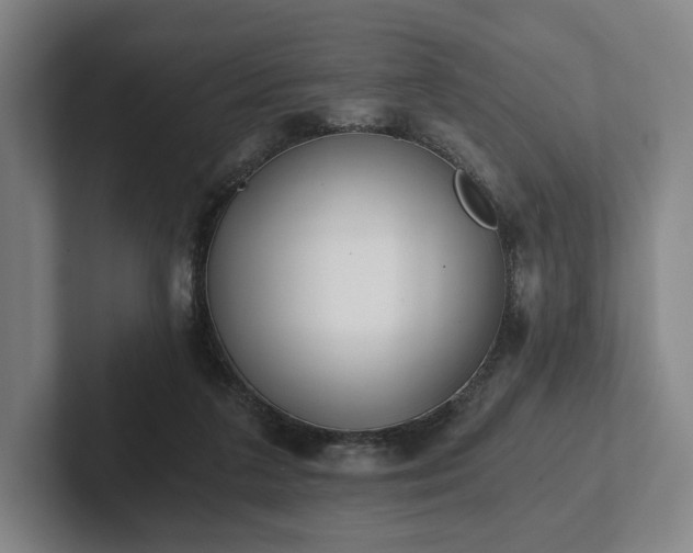 X0000101950211200807251141