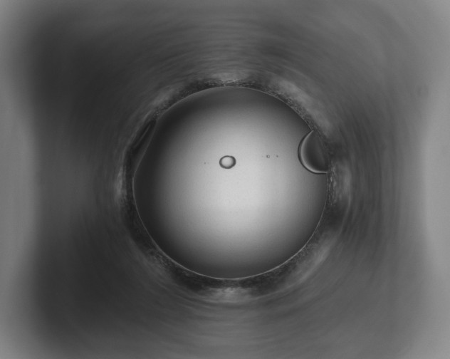 X0000101950212200807251141