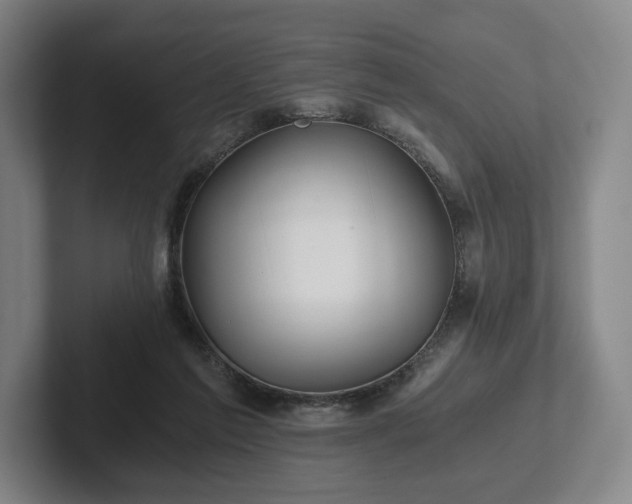 X0000101950213200807251141