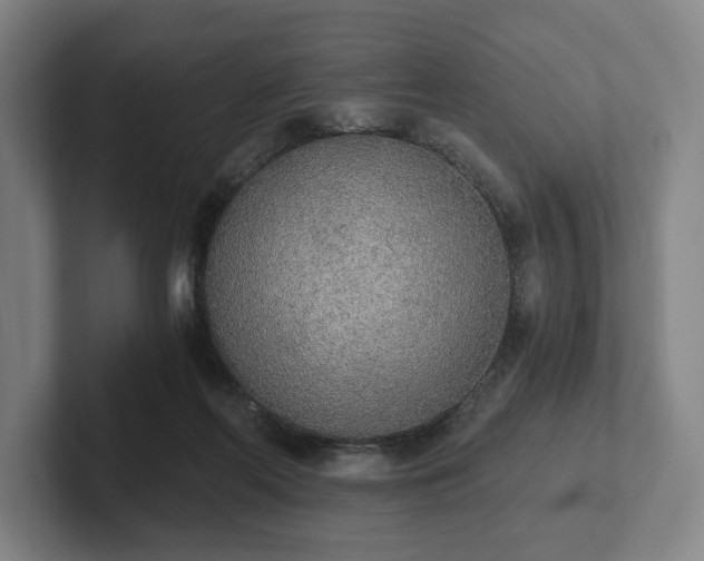 X0000101950214200807251141