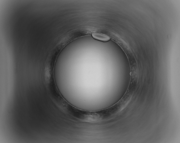 X0000101950215200807251141