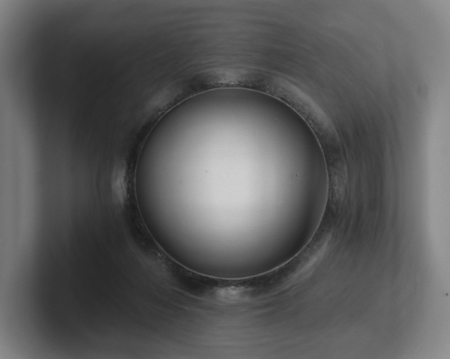 X0000101950216200807251141