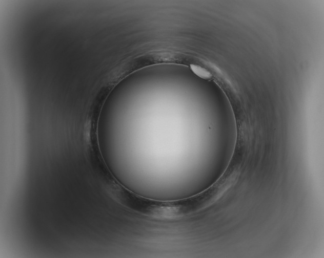 X0000101950217200807251141