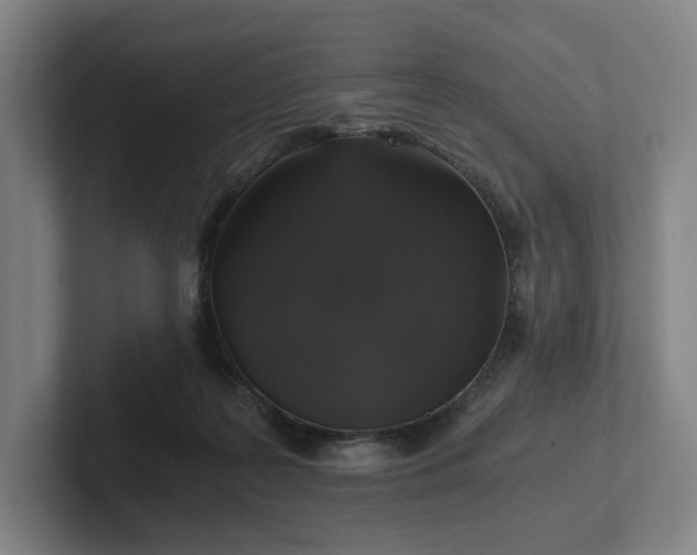 X0000101950219200807251141