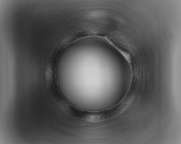 X0000101950220200807251141