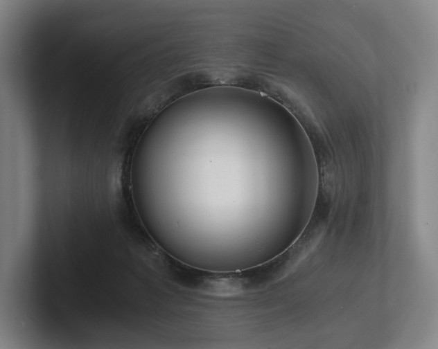 X0000101950221200807251141