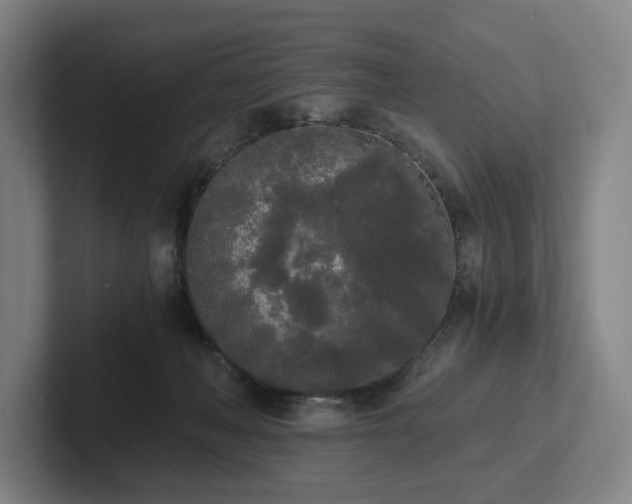 X0000101950222200807251141