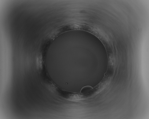 X0000101950223200807251141