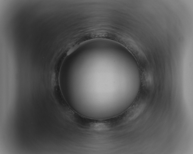 X0000101950224200807251141