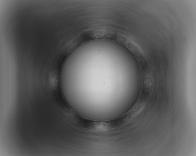 X0000101950226200807251141