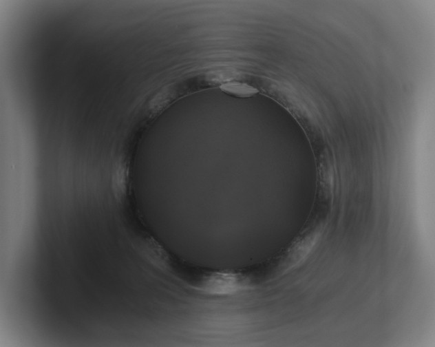 X0000101950227200807251141