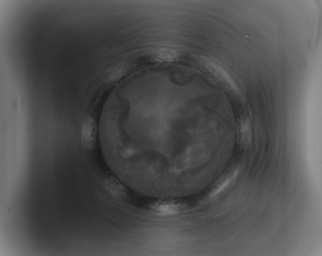 X0000101950228200807251141