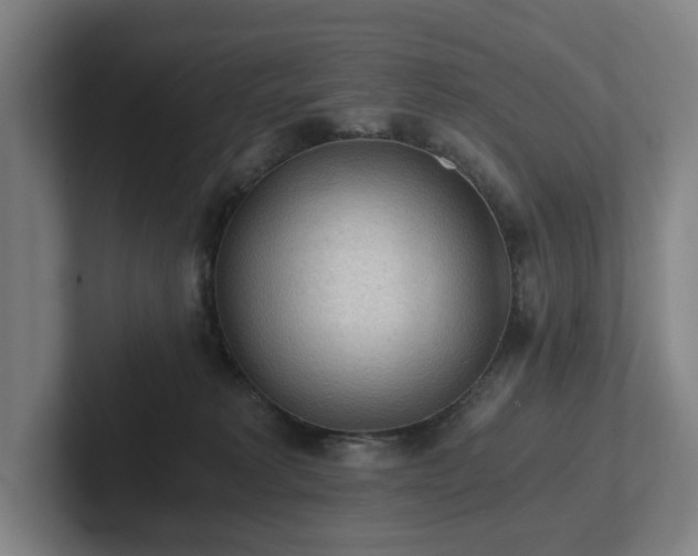 X0000101950229200807251141