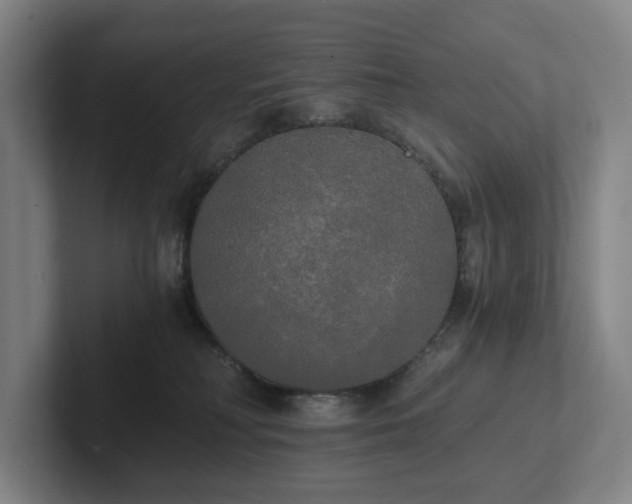 X0000101950230200807251141