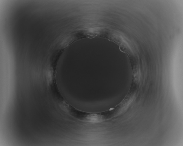 X0000101950231200807251141