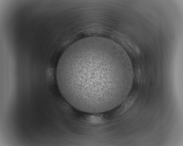 X0000101950232200807251141