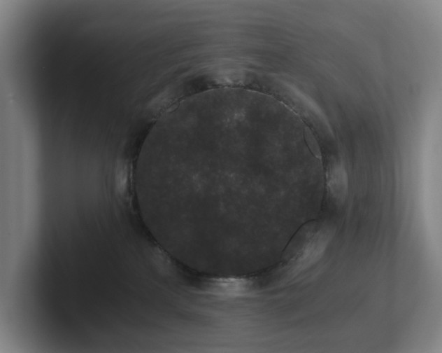 X0000101950233200807251141