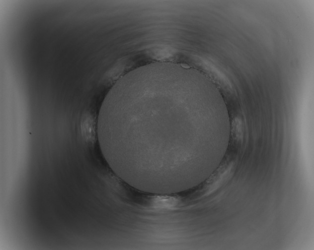 X0000101950234200807251141