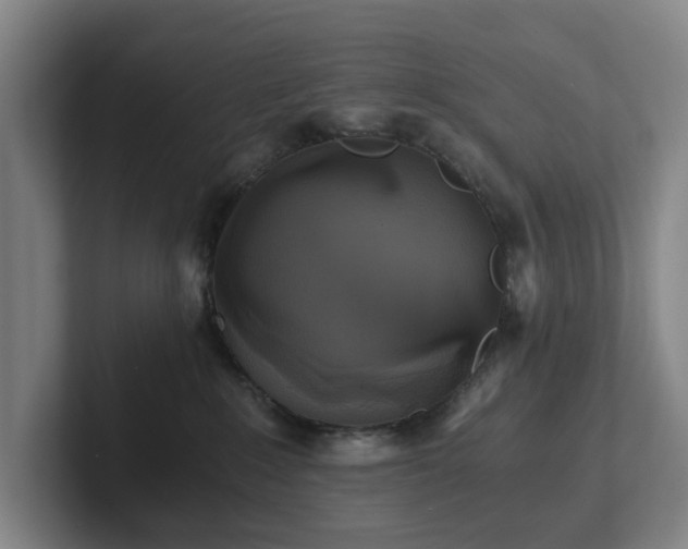 X0000101950235200807251141