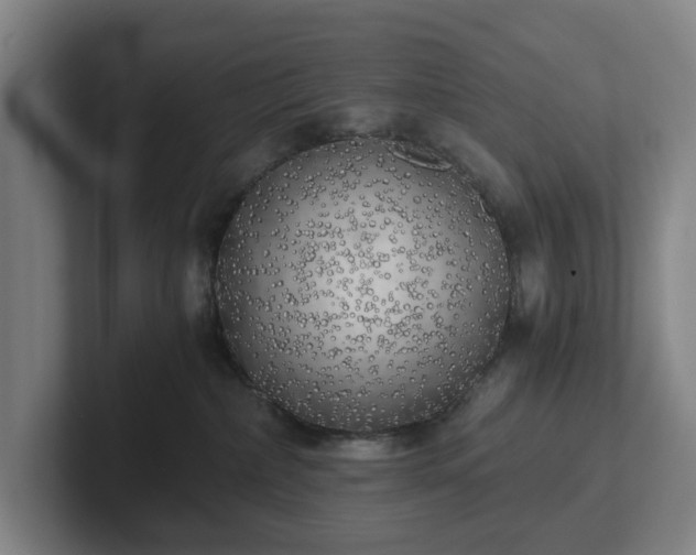 X0000101950236200807251141