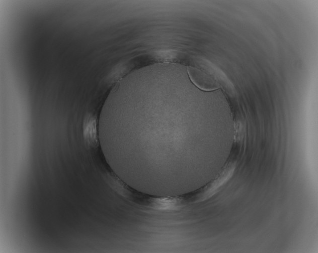 X0000101950238200807251141