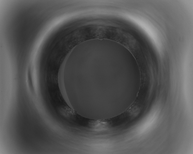 X0000101950239200807251141