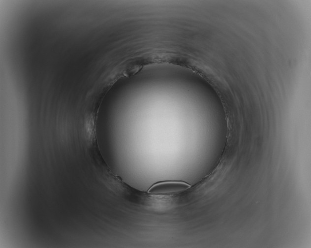 X0000101950240200807251141