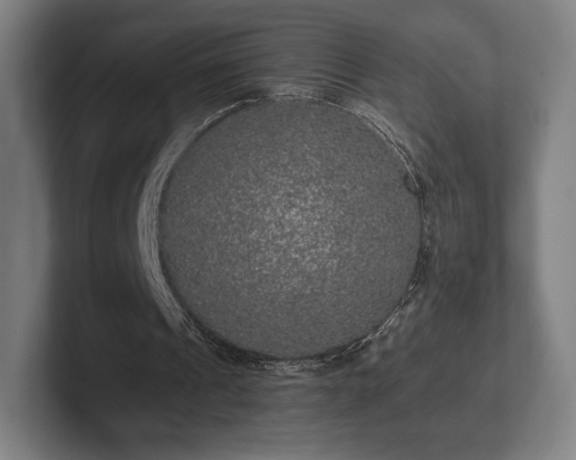 X0000101950241200807251140