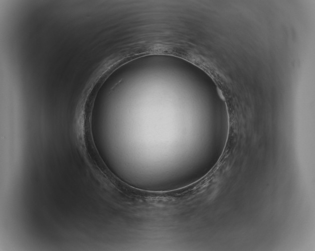 X0000101950242200807251140