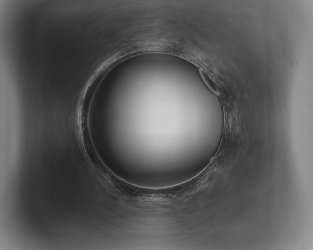 X0000101950244200807251140