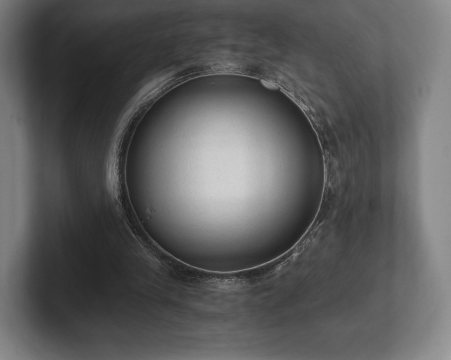 X0000101950245200807251140