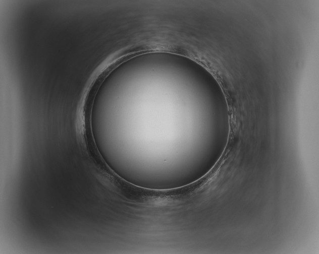 X0000101950246200807251140