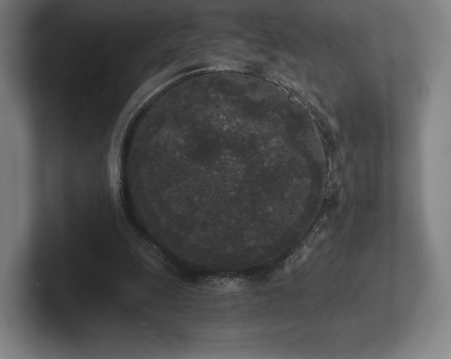 X0000101950247200807251140