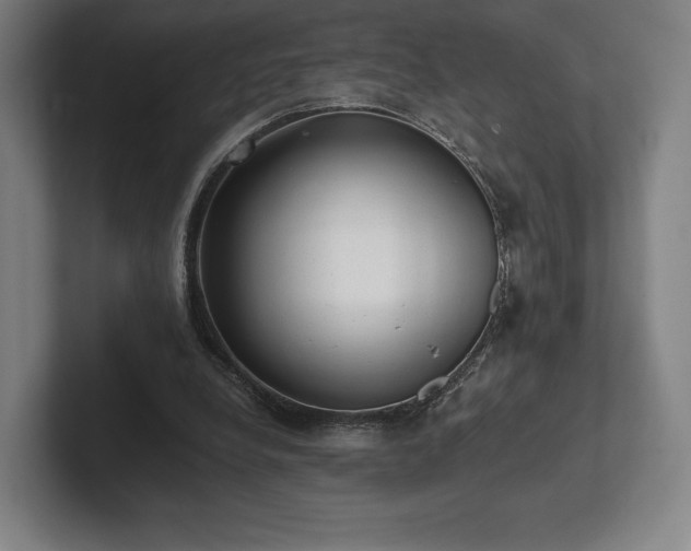 X0000101950248200807251140