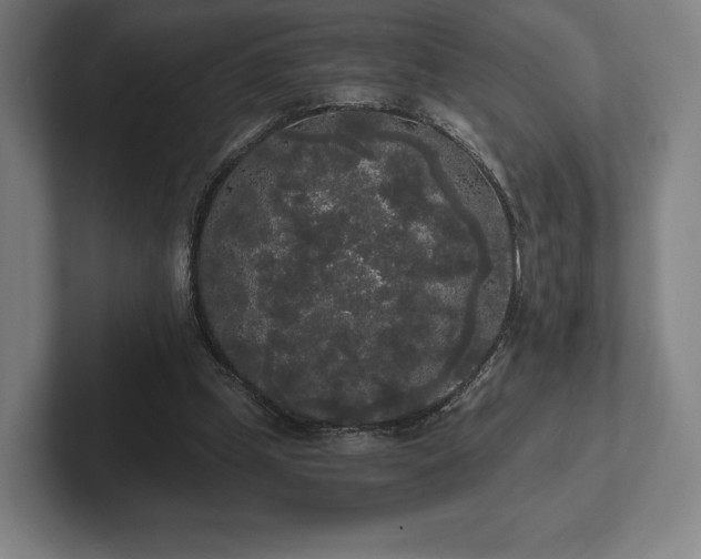 X0000101950249200807251140