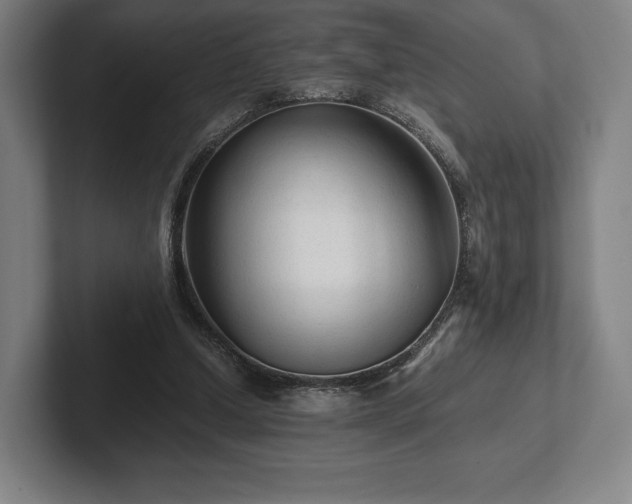 X0000101950250200807251140