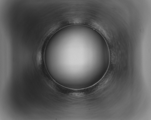 X0000101950251200807251140