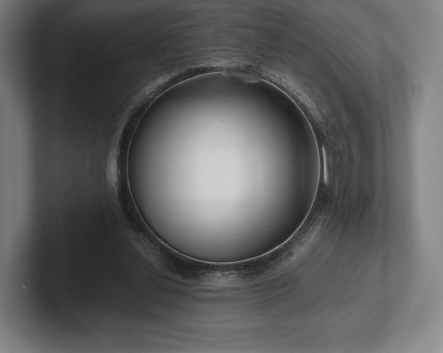 X0000101950252200807251140