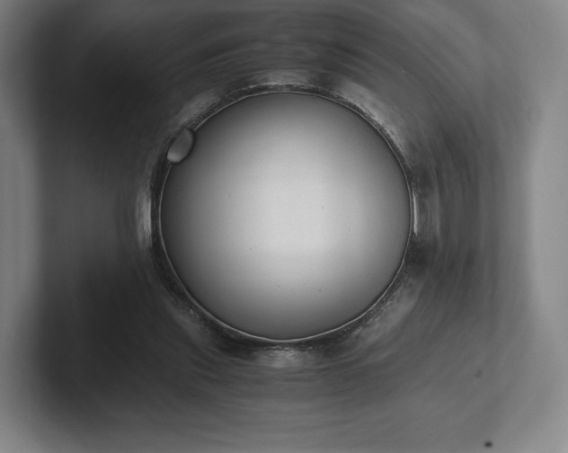 X0000101950253200807251140