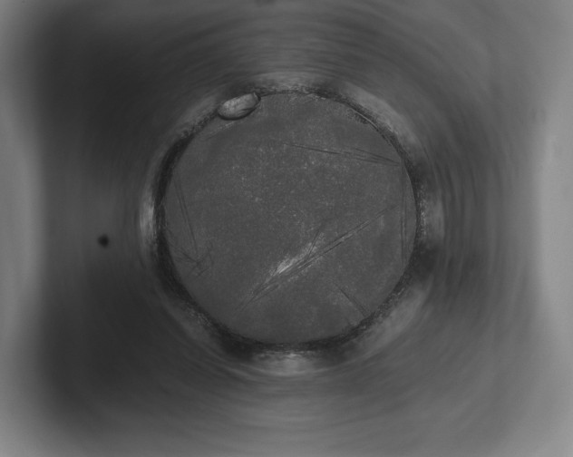 X0000101950254200807251140