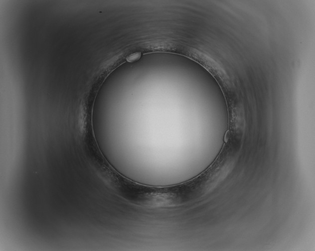 X0000101950255200807251140