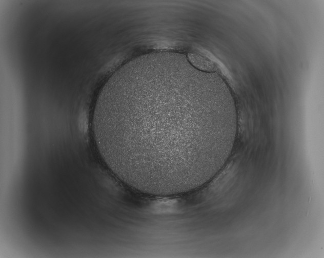 X0000101950257200807251140