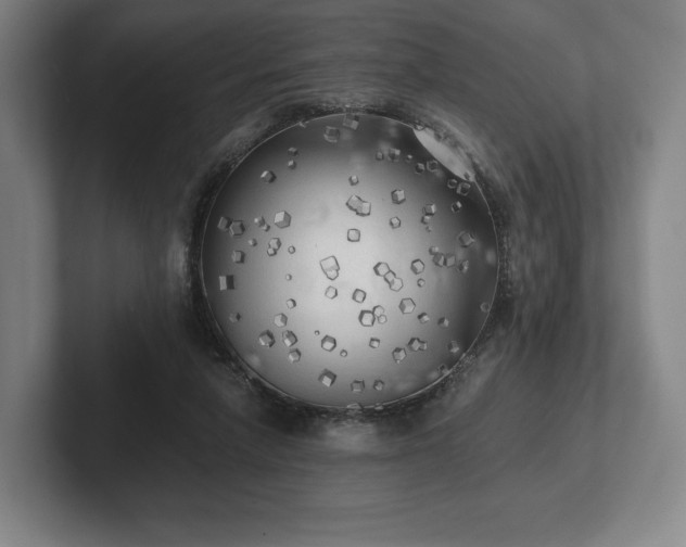 X0000101950258200807251140