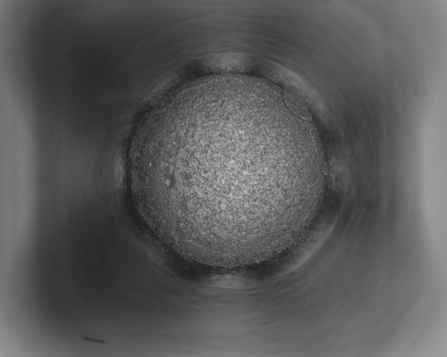 X0000101950259200807251140