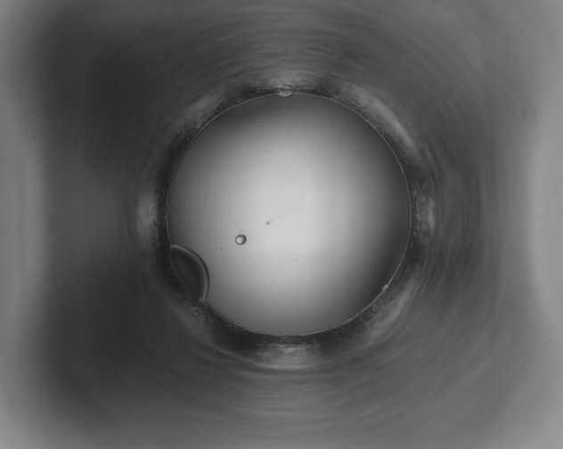 X0000101950260200807251140