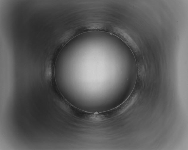 X0000101950261200807251140