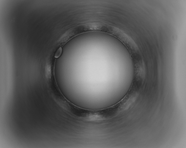 X0000101950262200807251140