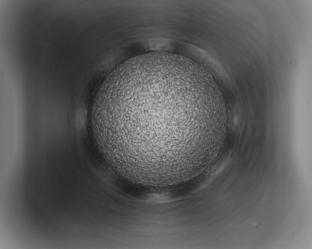 X0000101950263200807251140