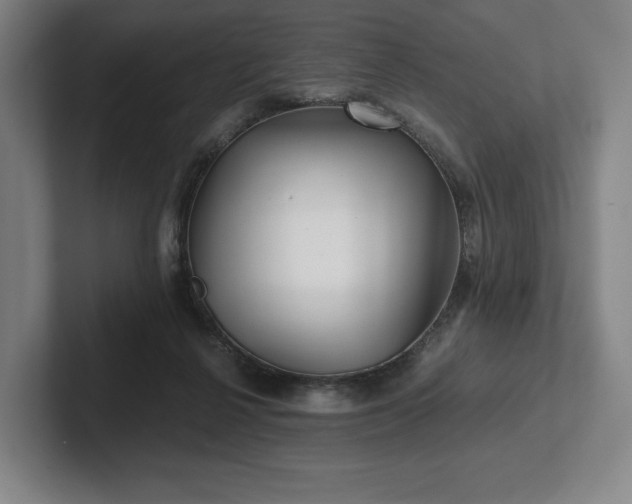 X0000101950264200807251140