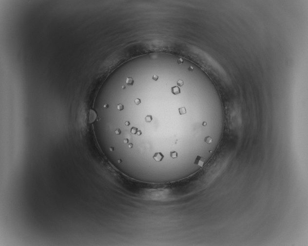 X0000101950266200807251140